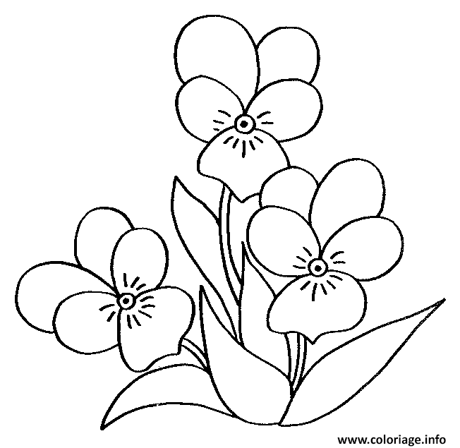 Coloriage fleurs printemps maternelle simple facile - JeColorie.com