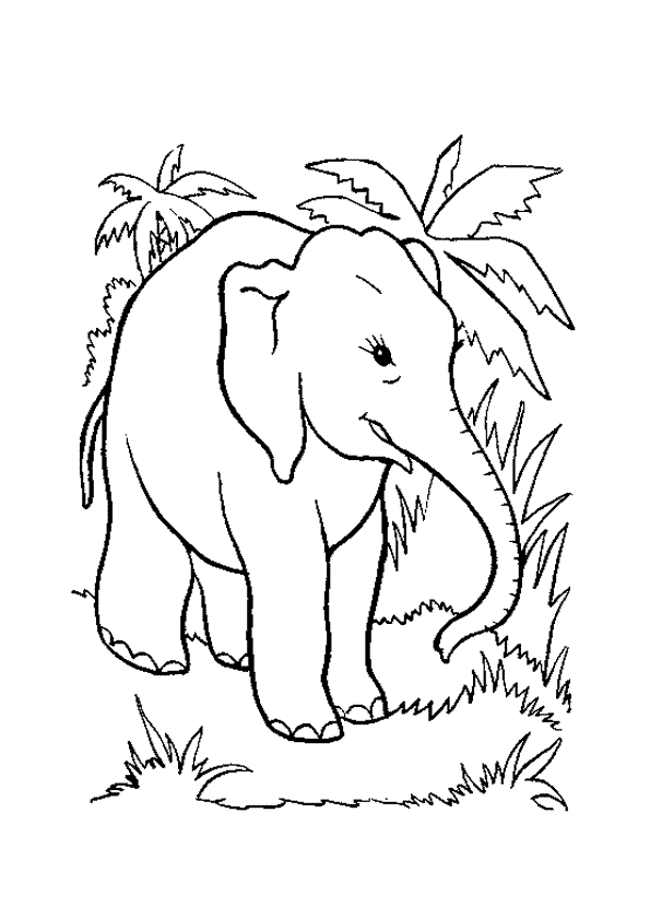 Coloriage elephant jungle sur Hugolescargot.com - Hugolescargot.com