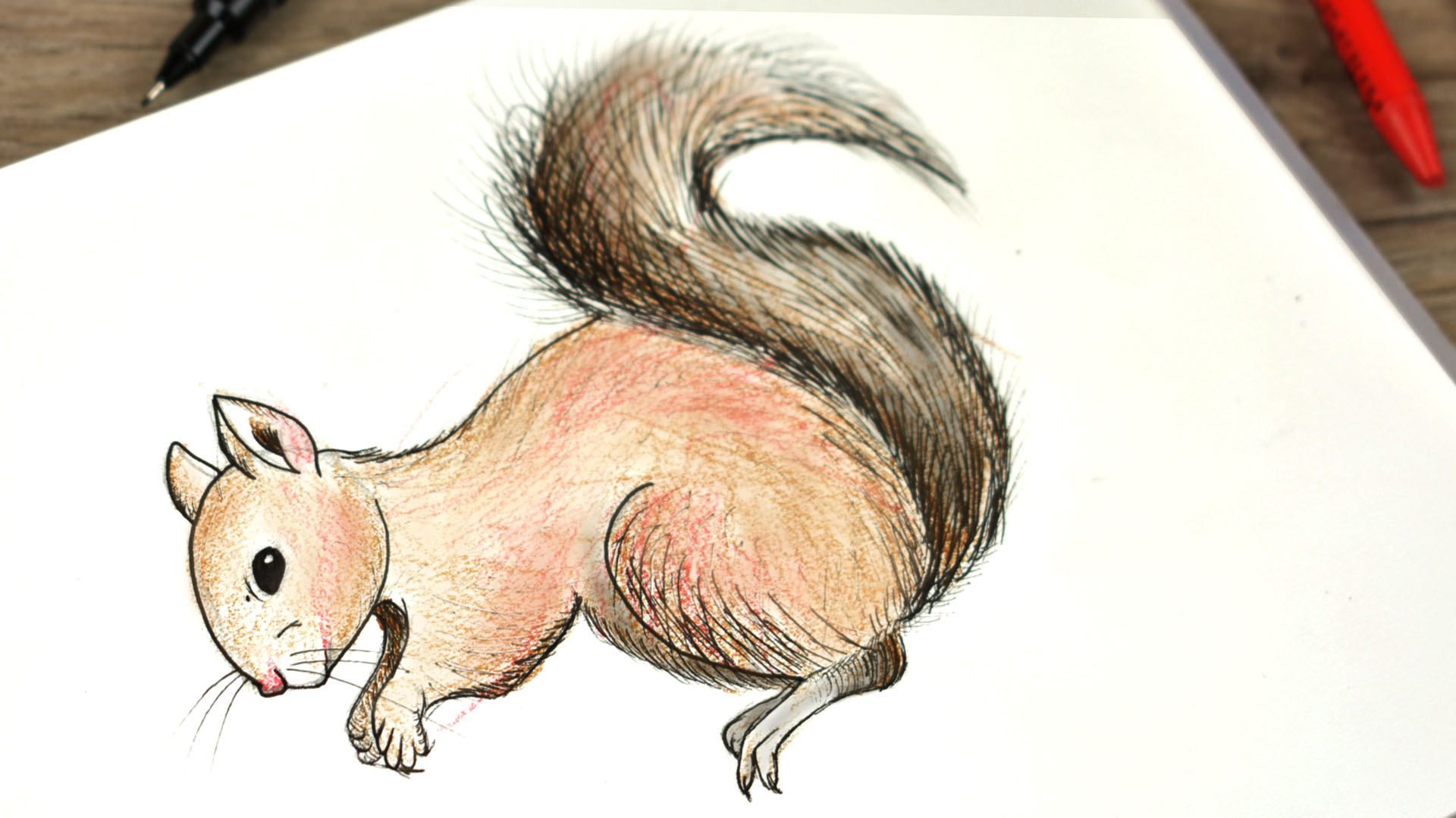 How to Draw a Squirrel (with Pictures) - wikiHow