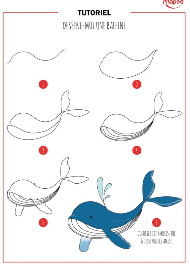 une baleine | Art drawings for kids, Easy drawings, Drawing tutorial