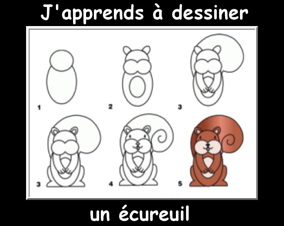 Des fiches j'apprends à dessiner les animaux - La Classe de Myli Breizh