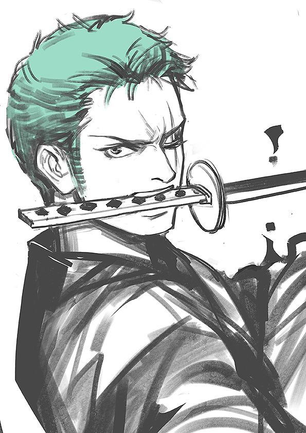 One Piece, Roronoa Zoro … | 1Piece | Pinterest | Zoro, Anime y Roronoa zoro