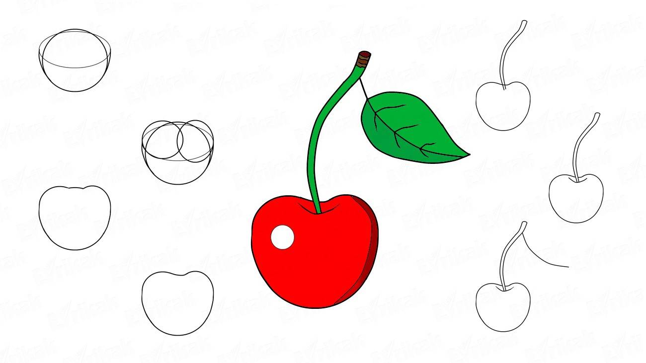 Comment dessiner des fruits - tout degorgement