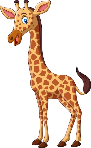 Girafe De Dessin Animé Isolé | Vecteur Premium