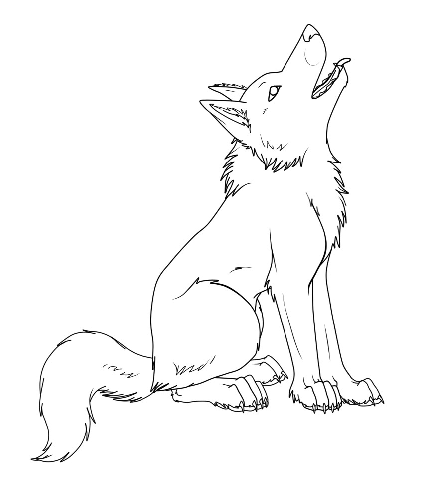 Comment dessiner un loup facilement