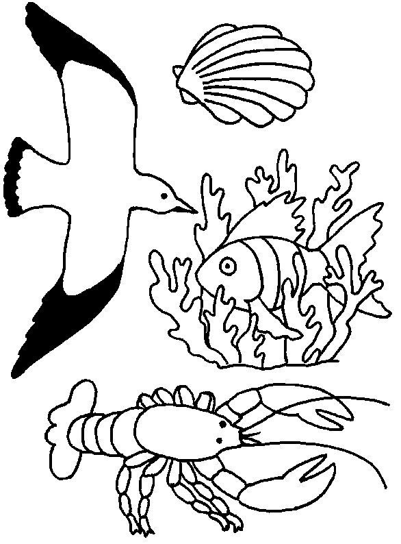 Coloriage Les animaux de Mer facile dessin gratuit à imprimer