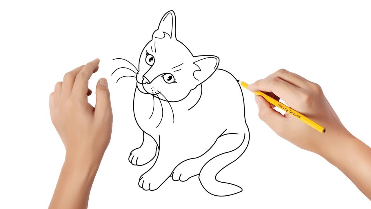 Comment dessiner un chat - YouTube