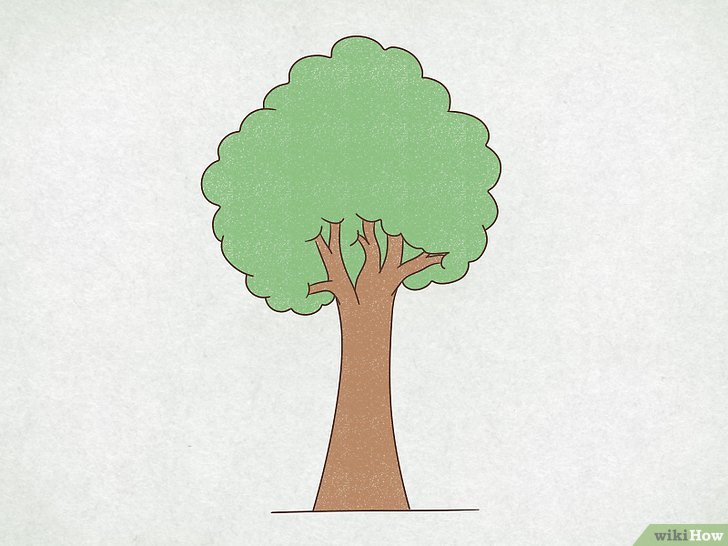 Comment dessiner un arbre simple: 9 étapes (avec images)